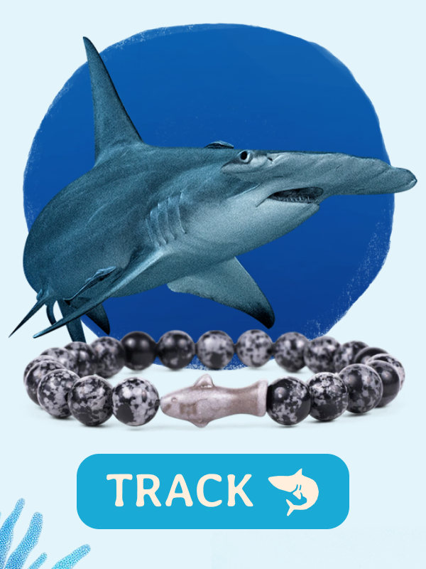 Track a real shark today! Shop now!