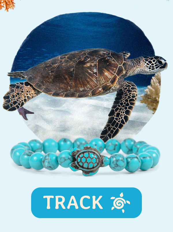 Track a real sea turtle today! Shop now!