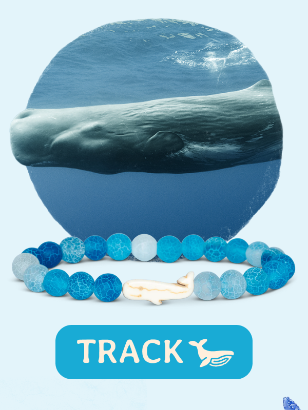 Track a real whale today! Shop now!