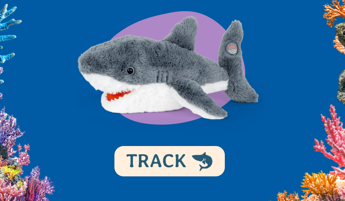 Track a real shark today! Shop now!