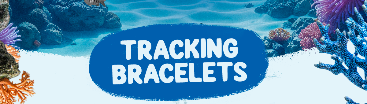 Shop the collection of marine life tracking bracelets!