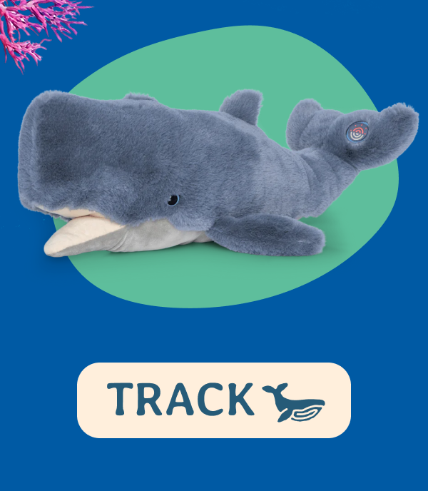Track a real whale today! Shop now!