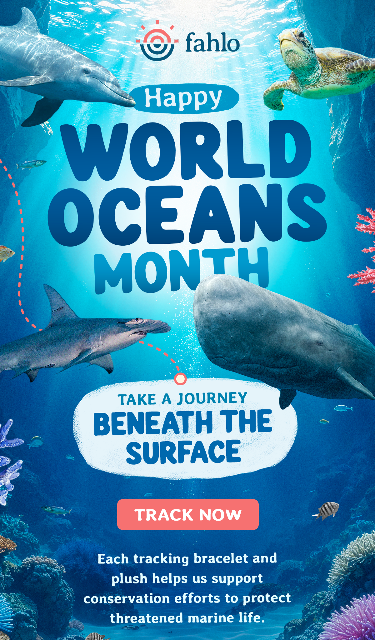 Happy World Oceans Month! Take a journey beneath the surface!