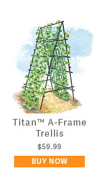 Titan A-Frame Trellis $59.99 - BUY NOW