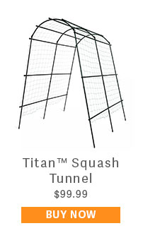 Titan Squash Tunnel $99.99 - BUY NOW