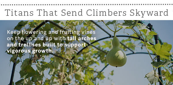 Titans that send climbers skyward - Keep flowering and fruiting vines on the up and up with tall arches and trellises built to support vigorous growth. 