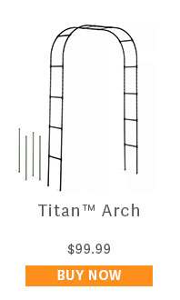 Titan Arch $99.99 - BUY NOW