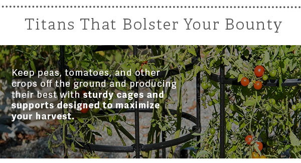 Titans That Bolster Your Bounty - Keep peas, tomatoes and other crops off the ground and producing their best with sturdy cages and supports designed to maximize your harvest. 