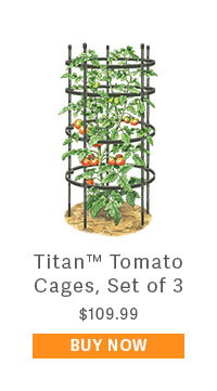 Titan Tomato Cages, Set of 3 $109.99 - BUY NOW
