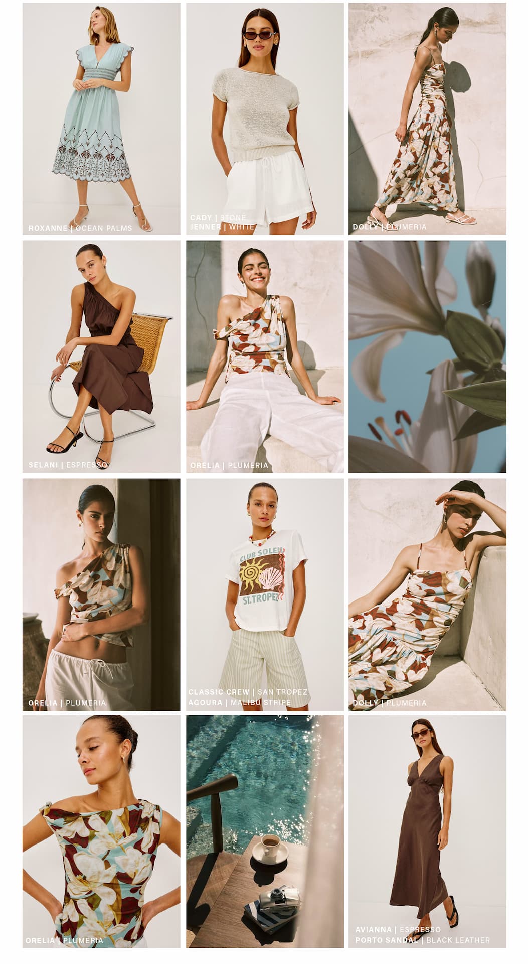 Shop The Plumeria Print