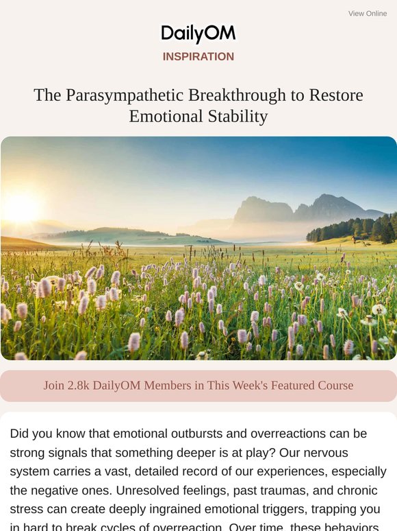 The Parasympathetic Secret to Emotional Stability