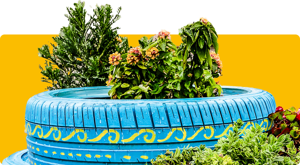 Tire with plants inside