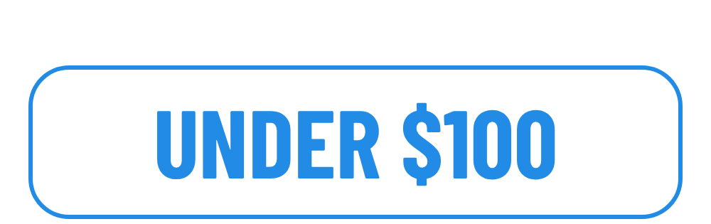 Gifts under $100