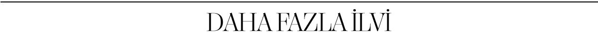 daha fazla ilvi