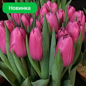 Карточка (82).png
