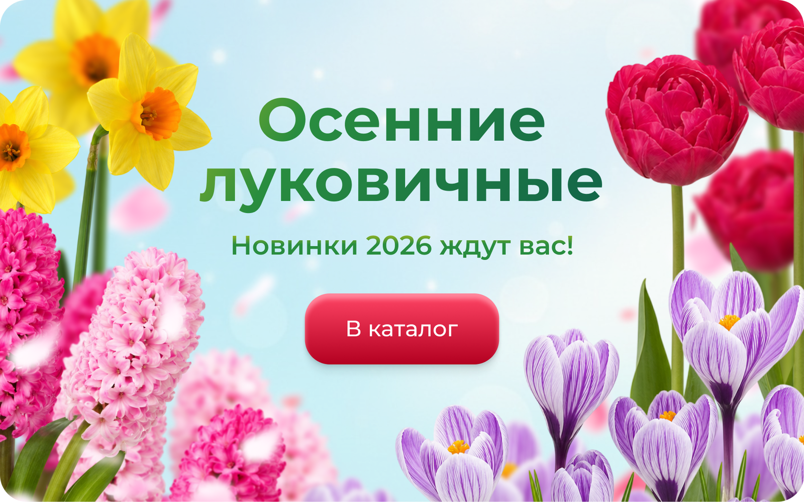 Frame 1367935284.png
