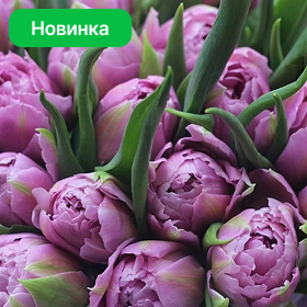 Карточка (79).png