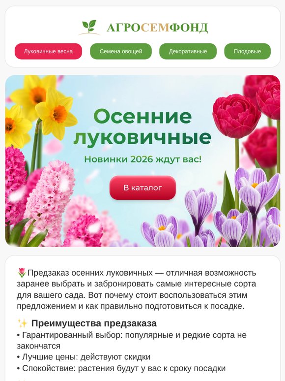🌸  🌷  Время действовать: ⏰ ПРЕДЗАКАЗ луковичных на ОСЕНЬ стартовал! 💥  Тюльпаны от 83 р за луковицу 🔥 🔥  🔥  Бонус: дополнительная скидка 5% за ранний заказ!
