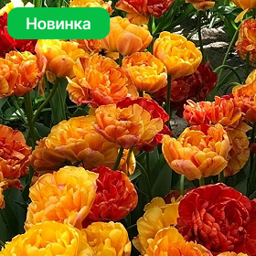 Карточка (90).png