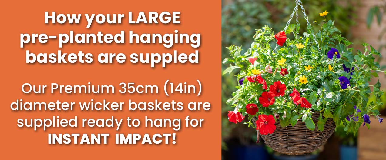 How your baskets are supplied
