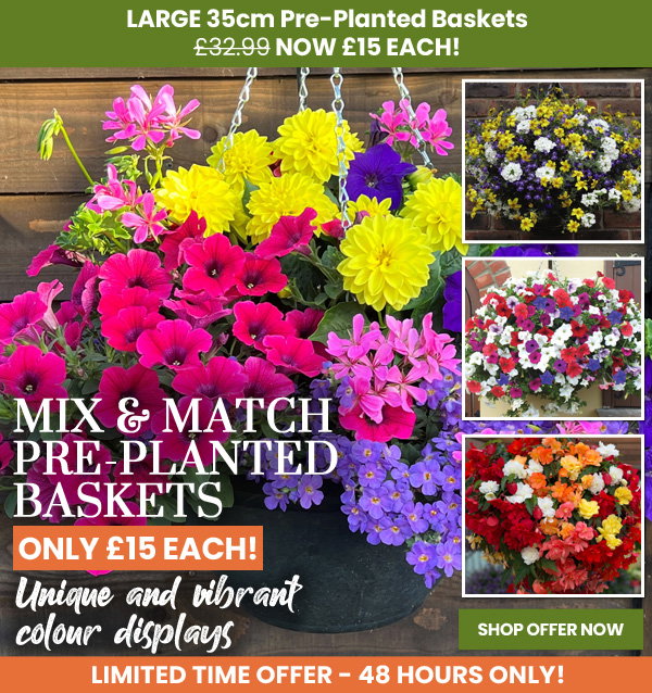 Mix & Match Baskets