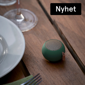 högtalare