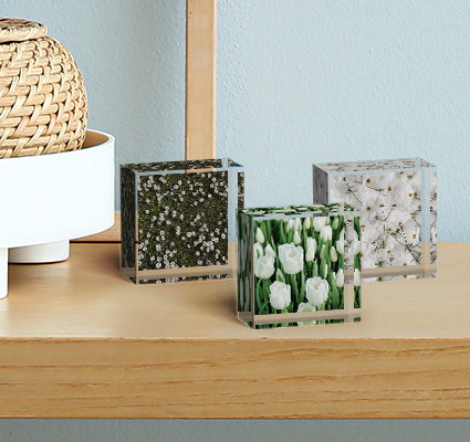 Crystal-clear pure acrylic glass, resistant to knocks and shocks