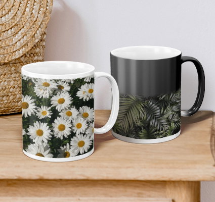 Dishwasher and microwave safe