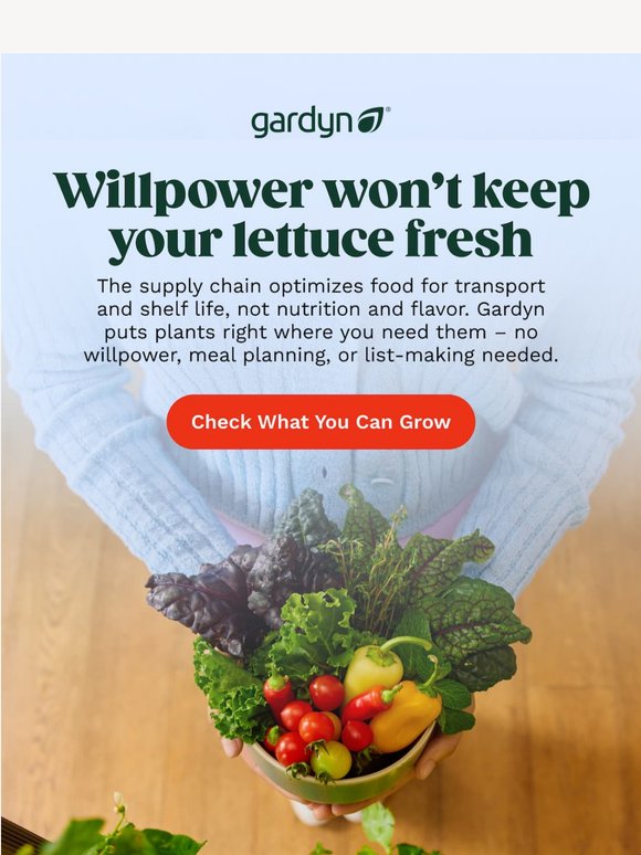 In search for the best food? It is not at your grocery store...