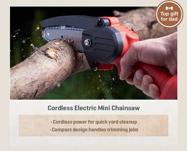 Cordless Electric Mini Chainsaw
