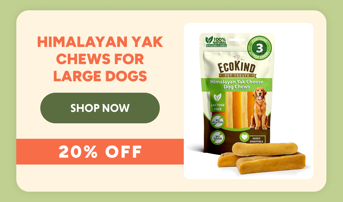Long-Lasting Gold Yak Chews for Large Dogs