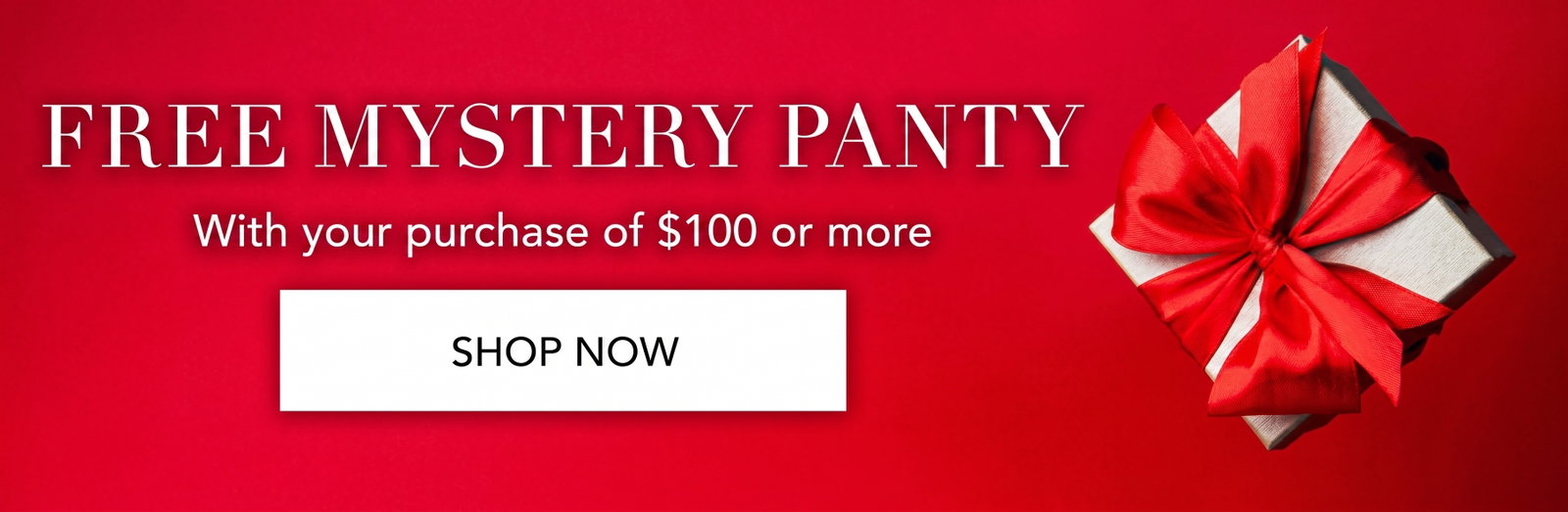 Free Mystery Panty With Your Purchase of $100 or More [Shop Now]