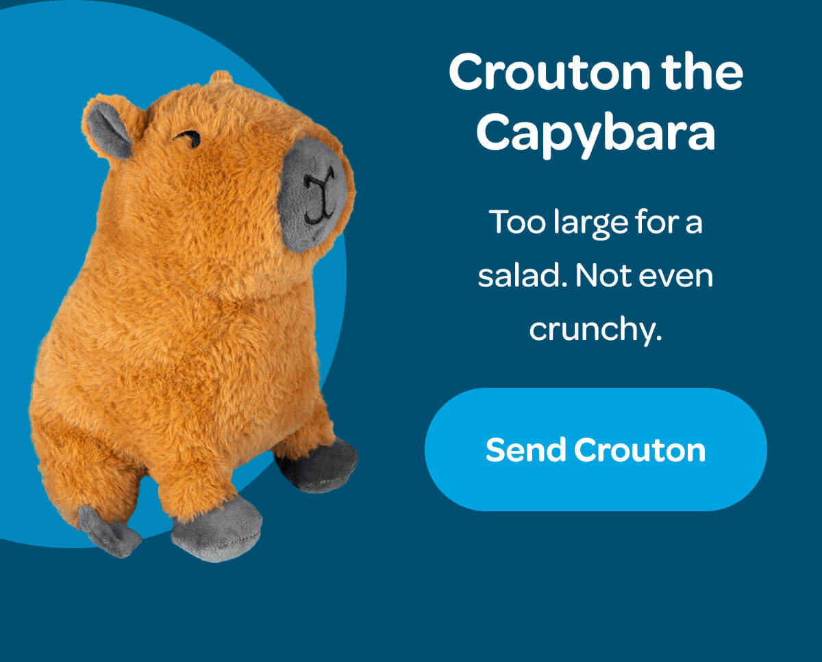 Crouton the Capybara Too large for a salad. Not even crunchy. [Send Crouton]