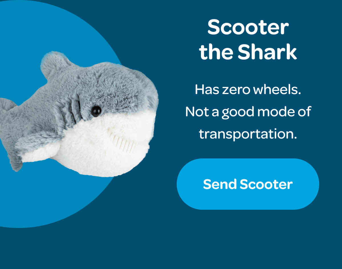 Scooter the Shark Has zero wheels. Not a good mode of transportation. [Send Scooter]
