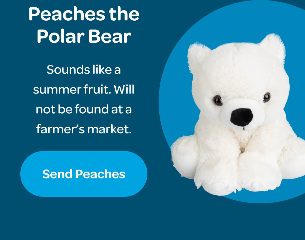 Peaches the Polar Bear Sounds like a summer fruit. Will not be found at a farmer’s market. [Send Peaches]