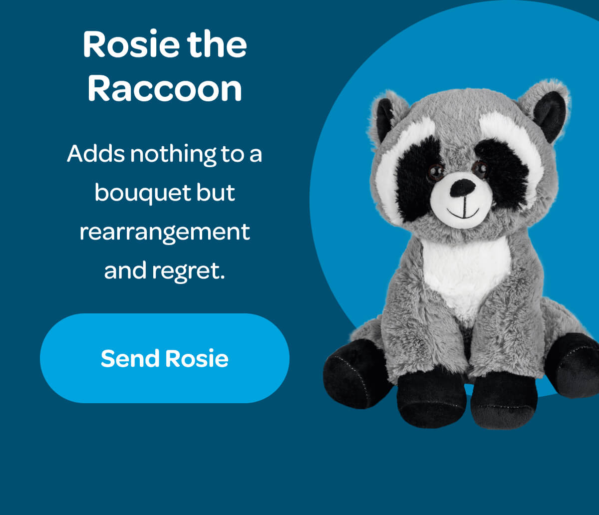 Rosie the Raccoon Adds nothing to a bouquet but rearrangement and regret. [Send Rosie]