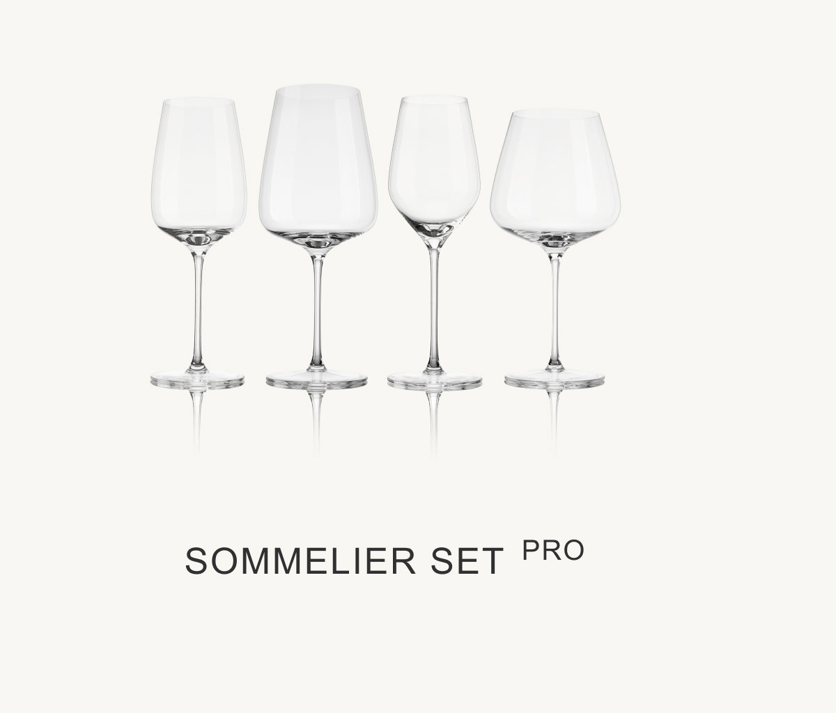 Sommelier Set Pro 