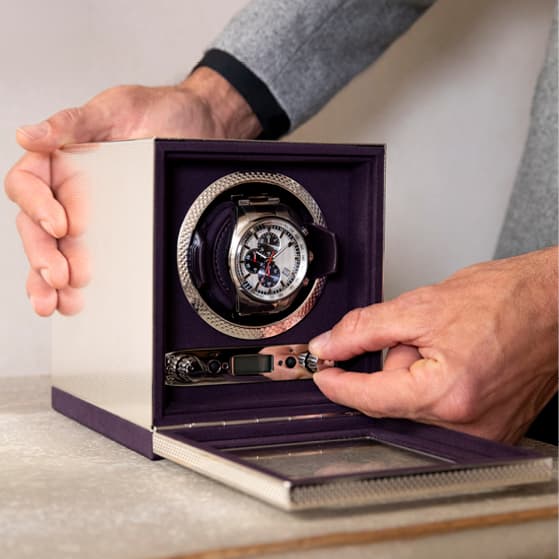 Silver Watch Winder