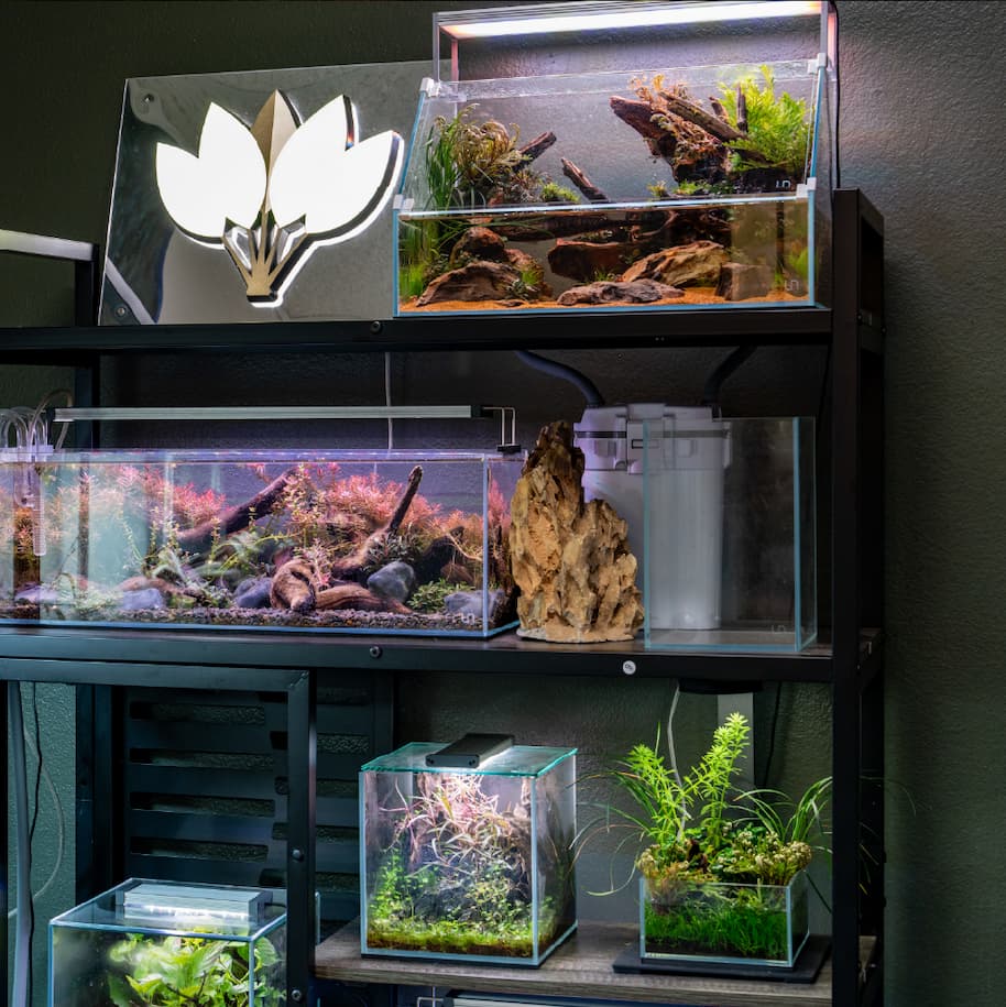 Aquarium Filtration