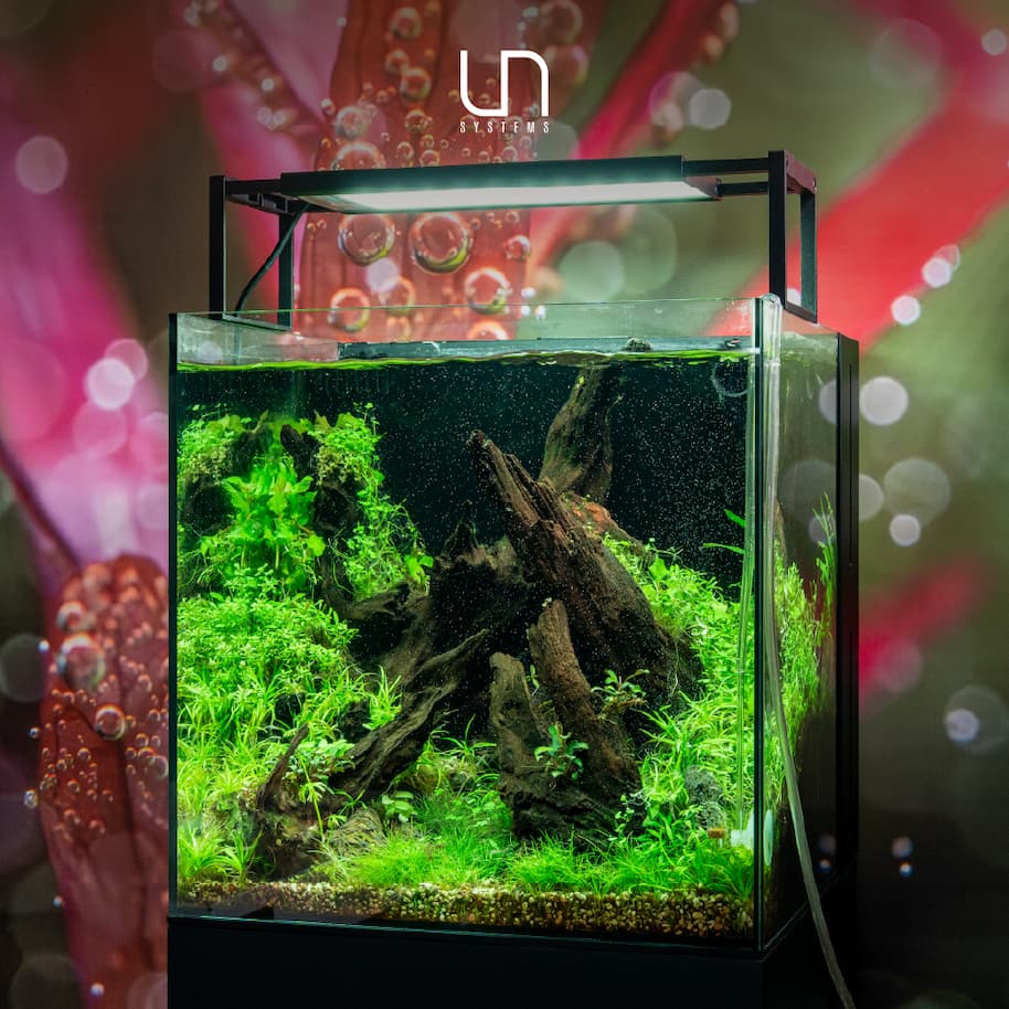 UNS Dual AIO Tanks