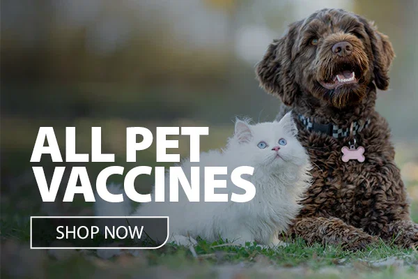Pet Vaccines