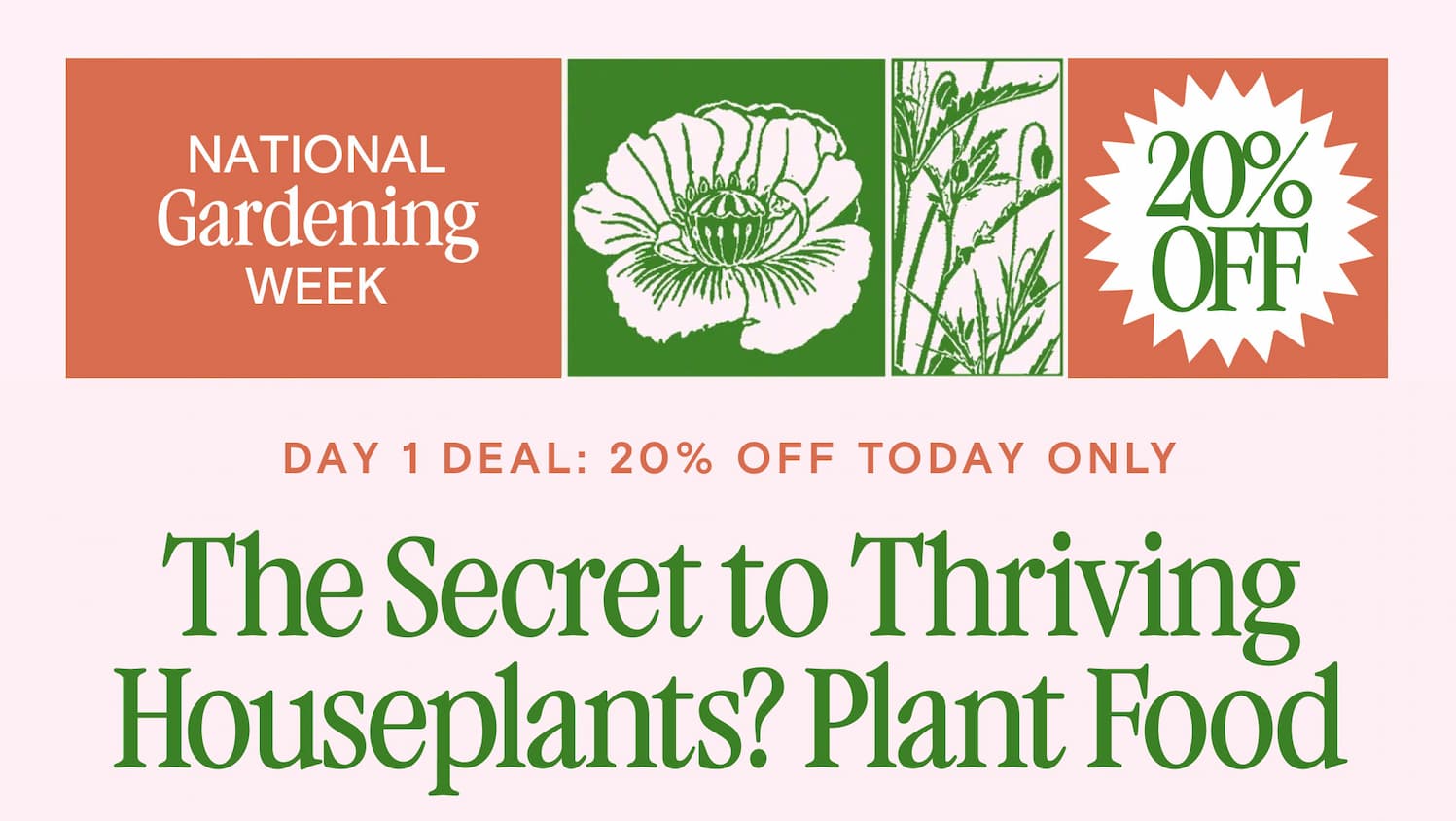 DAY 1 DEAL: 20% OFF TODAY ONLY The Secret to Thriving Houseplants? Plant Food