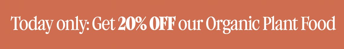 Today only: Get 20% OFF our Organic Plant Food