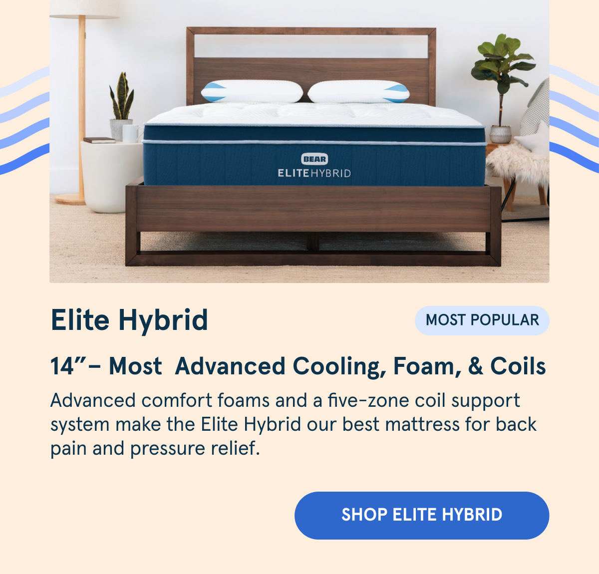 Shop Elite Hybrid