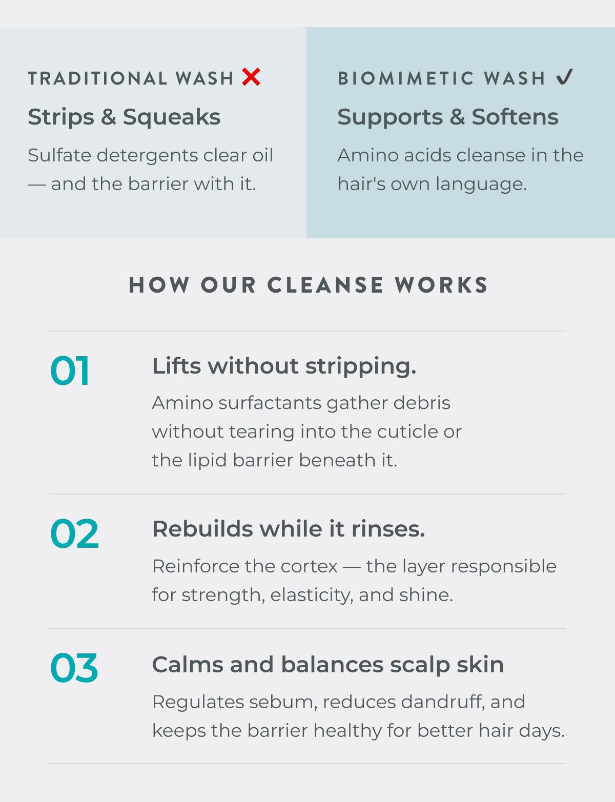 How our cleanse works: lifts without stripping, rebuilds while it rinses, and calms and balances scalp skin.