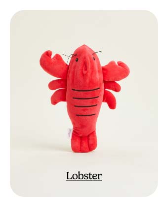 Shop Lobster