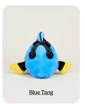 Shop Blue Tang