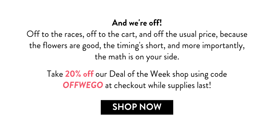 And we're off! Off to the races, off to the cart, and off the usual price, because the flowers are good, the timing's short, and more importantly, the math is on your side.  Take 20% off our Deal of the Week shop using code OFFWEGO at checkout while supplies last!