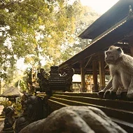 The Best Family-Friendly Things to Do in Bali