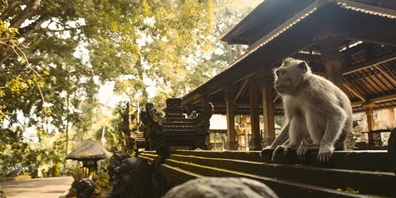 The Best Family-Friendly Things to Do in Bali